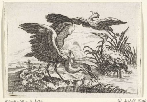 Three Herons