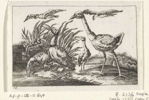 Waterbirds