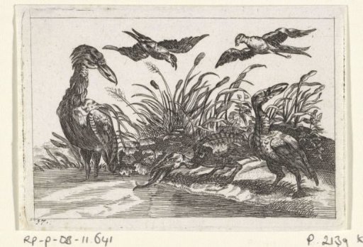 Herons and Swallows