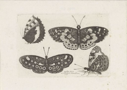 Four Butterflies