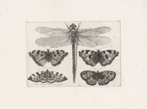Dragonfly and Four Butterflies