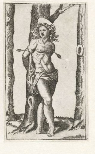 Saint Sebastian bound to a tree with arrows in his body