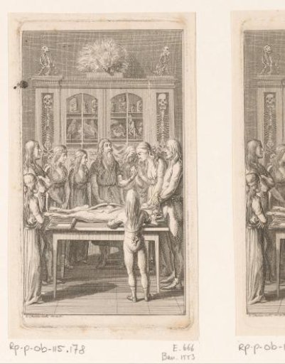 Anatomy lesson