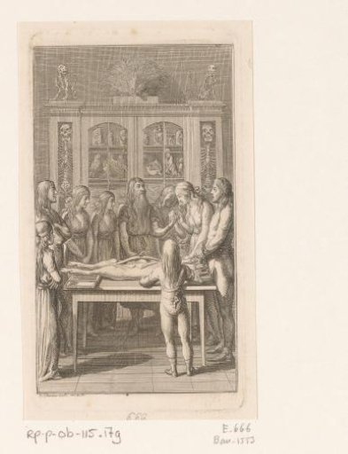 Anatomy lesson