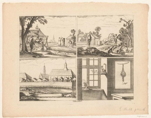 Four scenes on the taming of animals