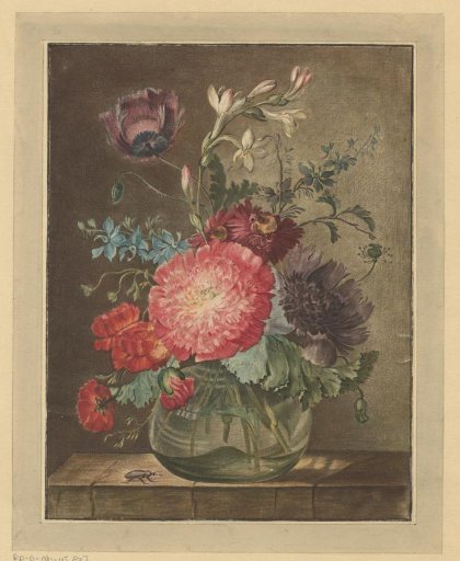 Flower still life with an insect
