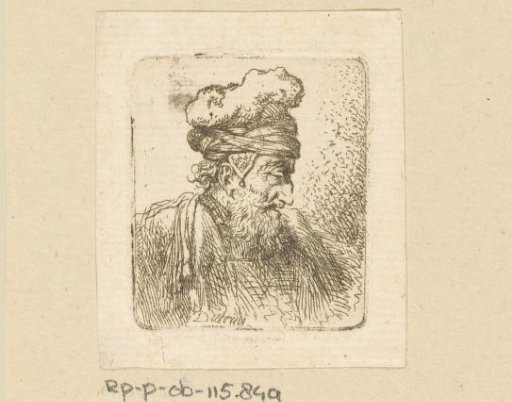 Man with Beard and Fur Cap