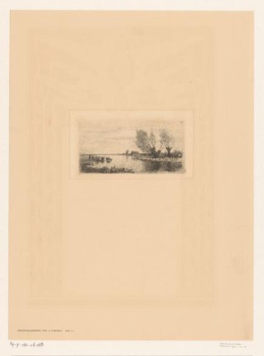 River landscape with pollard willows