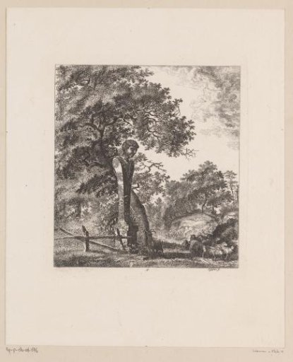 Forest landscape with a flock of sheep and a herm of a faun