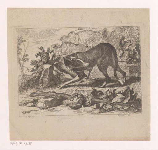 Hunting dog and gun