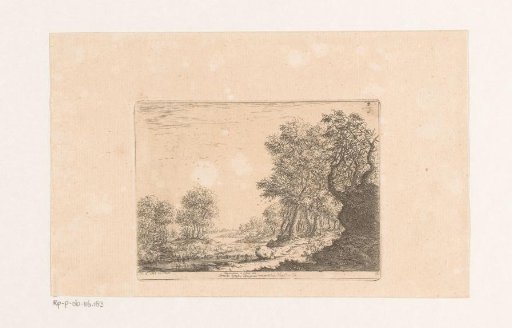 River landscape with trees