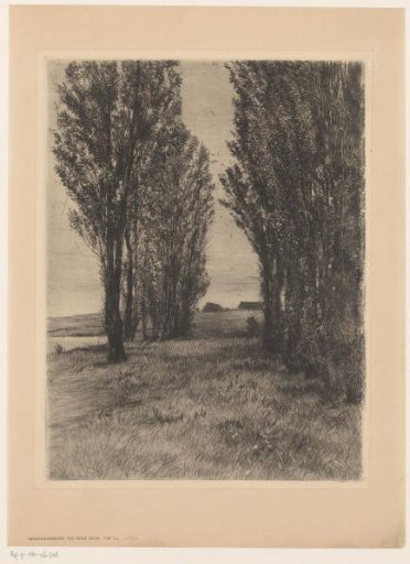 Pastoral landscape with poplars