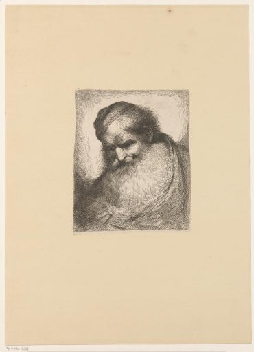 Head of an old man with a beard