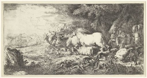 Ark of Noah