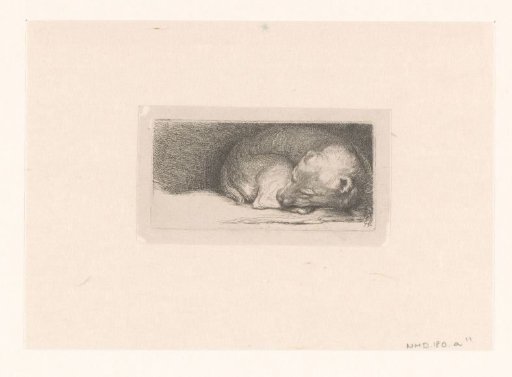 Sleaping puppy