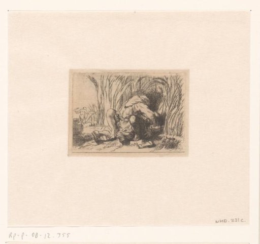 The monk in the cornfield