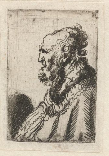Bald old man with a short beard, in profile right