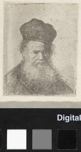 Bust of an old man with a fur cap and flowing beard, nearly full face