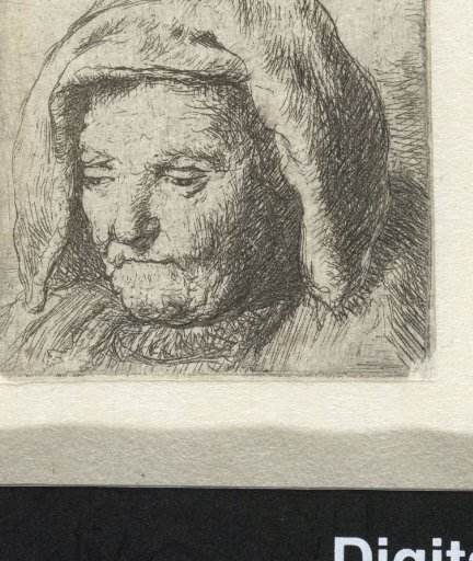 The artist's mother in a cloth headdress, looking down: head only