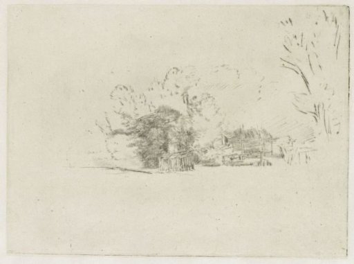 Clump of trees with a vista
