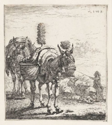 Two mules