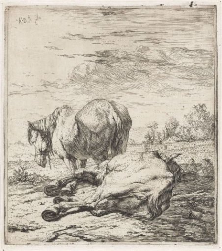 Two horses