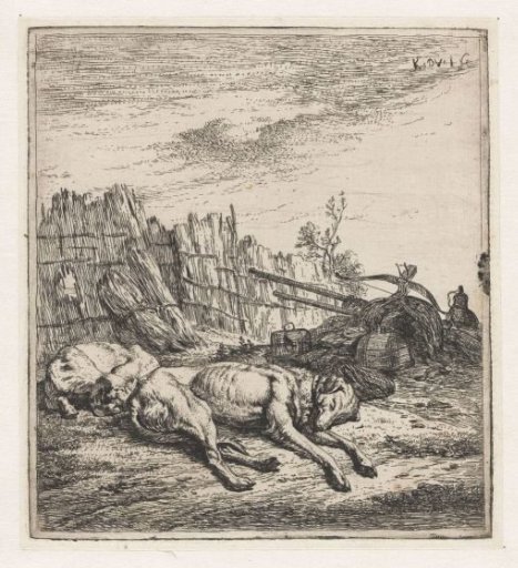 Sleeping hunting dogs