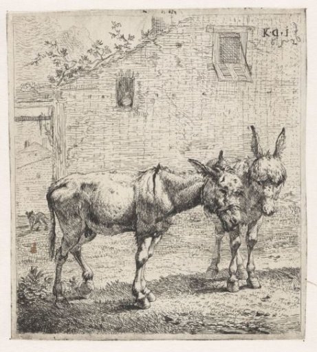 Two donkeys