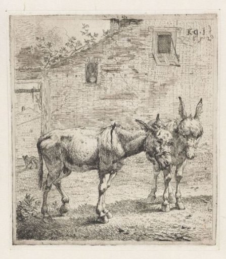Two donkeys