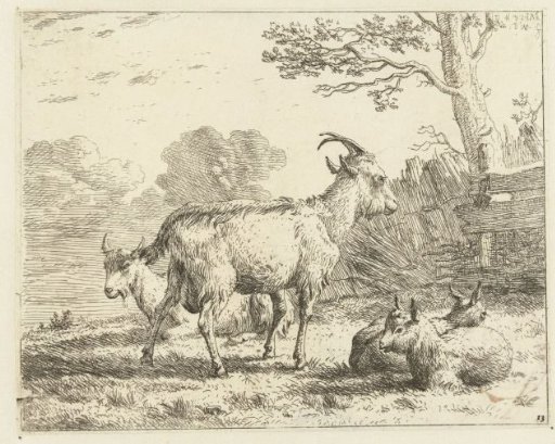 Four Goats