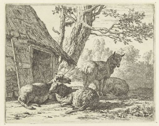 Four Sheep