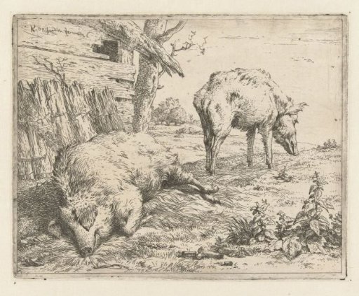 Two Pigs
