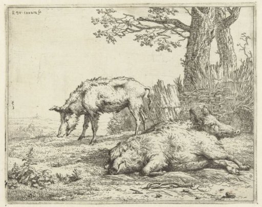 Three Pigs by a Hedge
