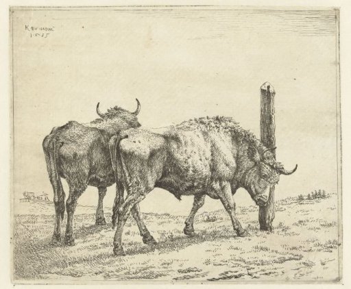 Two Oxen, One Rubbing its Head Against a Post