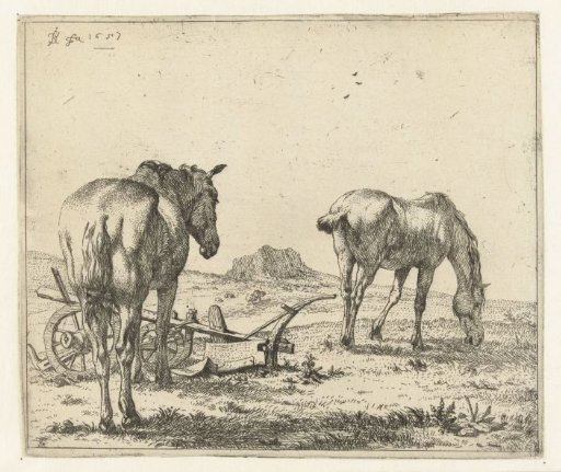Two horses and a plough