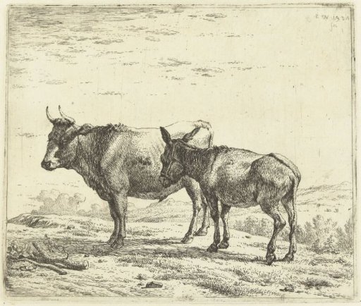 An ox and a donkey