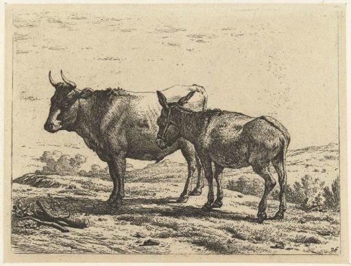 An ox and a donkey