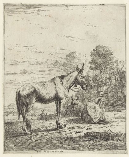 Mule with bell on halter and two lying donkeys