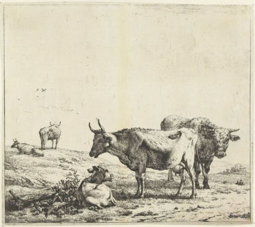Cow, bull and a calf
