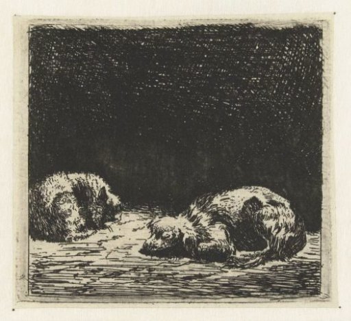 Sleeping Dog and Cat
