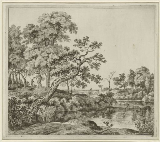 Landscape with a hanging tree by the water