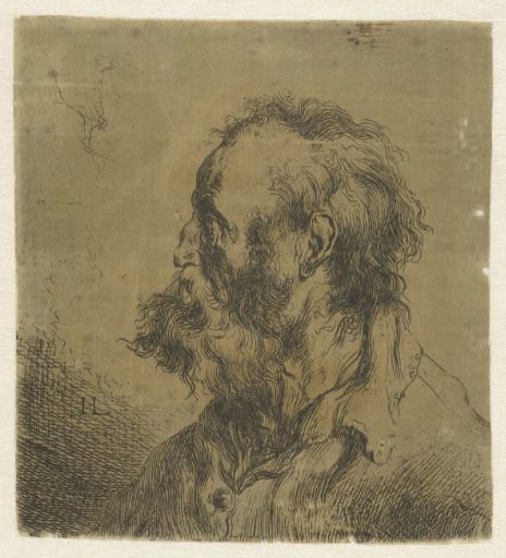 Bust of an Old Man with a Beard