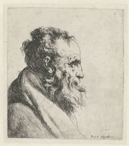 Bust of an Old Man with a Beard