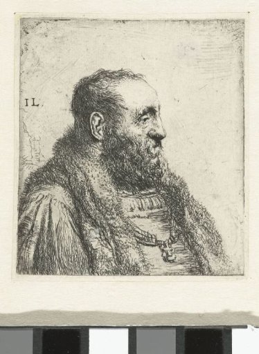 Bust of an old gentleman