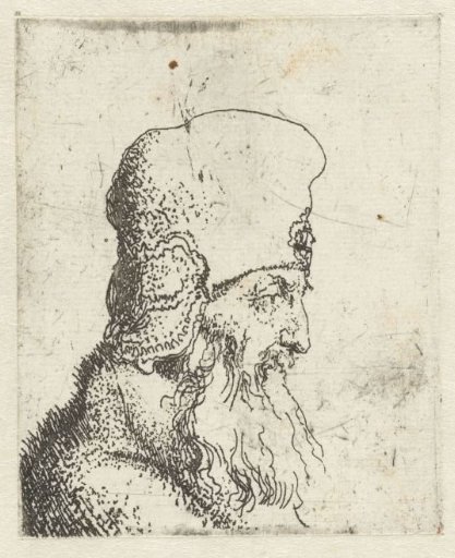 Head of an old man with a beard and a high cap