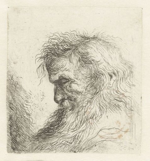 Head of an Old Man with a Beard