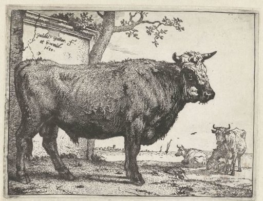 Bull