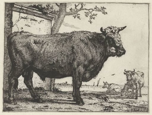 Bull