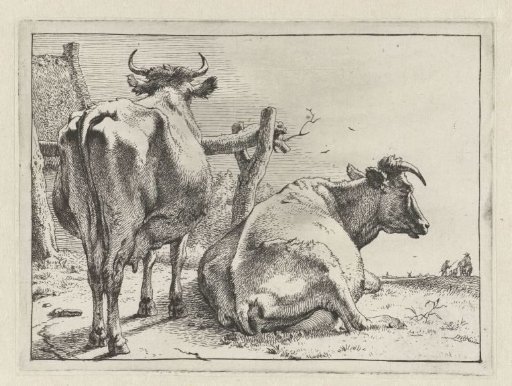 Two cows seen from behind