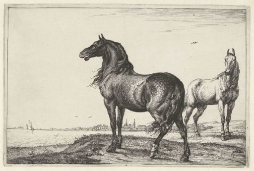 Neighing horse